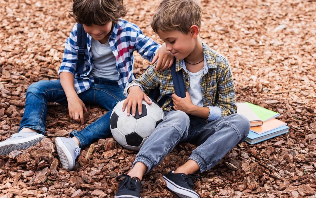 WAT ALS ZIJN BOEZEMVRIENDJE UIT EEN HEEL ANDER NEST KOMT?